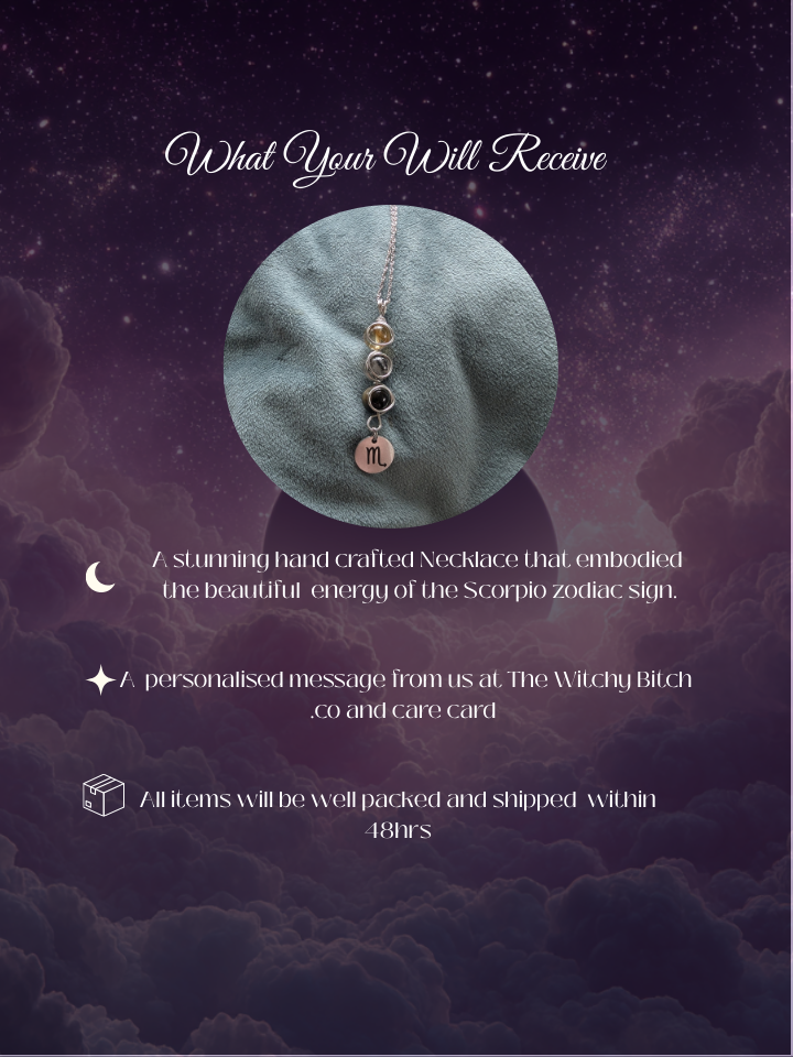 Scorpio Zodiac Necklace